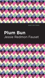 Plum Bun: A Novel Without a Moral - Jessie Redmon Fauset - 9798888976319