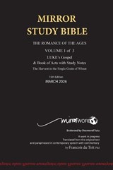 Hardback 11th Edition MIRROR STUDY BIBLE VOL 1 - Updated March 2024 LUKE's Gospel & Acts 1-14 - Francois Du Toit - 9798889559313