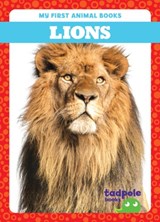 Lions - Natalie Deniston - 9798889965770
