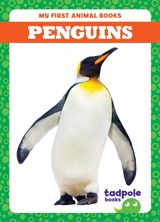Penguins - Natalie Deniston - 9798889965831