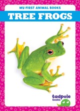 Tree Frogs - Natalie Deniston - 9798889965923