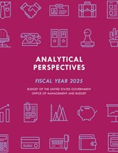 Analytical Perspectives