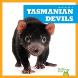 Tasmanian Devils - Natalie Deniston - 9798892135283