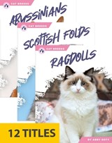 Cat Breeds (Set of 12) - Abby Doty - 9798892503426