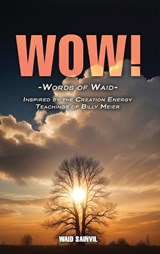 WOW - Waid Sainvil - 9798893242829