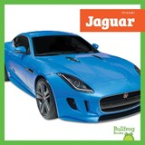 Jaguar - Mari Schuh - 9798896620211