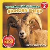The Nature Kid's Guide to Bighorn Sheep - David Anderson - 9798898181499