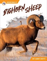 Bighorn Sheep - Abby Doty - 9798898240592