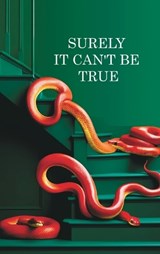Surely it can't be True - Richard Price - 9798900468310