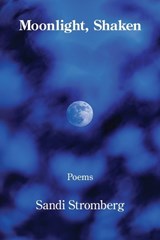 Moonlight, Shaken - Sandi Stromberg - 9798901467091