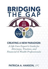 Bridging the Gap, Creating a New Paradigm - Lpc Patricia a Hanson - 9798902236313