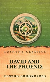 David and the Phoenix - Edward Ormondroyd - 9798902726005