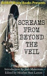 Screams From Beyond The Veil - Heather Ann Larson ; Philp Fracassi - 9798986675169