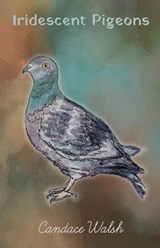 Iridescent Pigeons - Candace Walsh - 9798988317630
