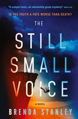 The Still Small Voice - Brenda Stanley - 9798989017621
