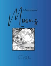 A Collection of Moons