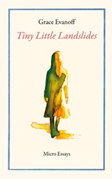 Tiny Little Landslides - Grace Evanoff - 9798991869201