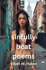 sinfully good poems - Elliot M Rubin - 9798992246414