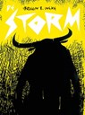 De storm - Ibrahim R. Ineke - 9789089883216