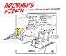 Brommers kiek'n - Marc-Jan Janssen - 9789493059658