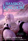 Bamboo Kingdom #3: Journey to the Dragon Mountain - Erin Hunter - 9780063022065