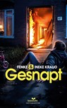 Gesnapt - Femke Kraijo ; Ineke Kraijo - 9789086968282