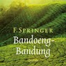Bandoeng-Bandung - F. Springer - 9789021414263