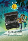 Penaltytrofee - Gerard van Gemert - 9789044842883