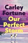 Our Perfect Storm - Carley Fortune - 9780241813782
