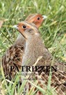Patriezen - Harm Jan Kerssies - 9789403693613
