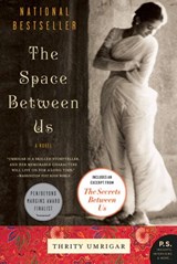 The Space Between Us - Thrity Umrigar - 9780061752605
