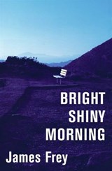 Bright Shiny Morning - James Frey - 9780061795640