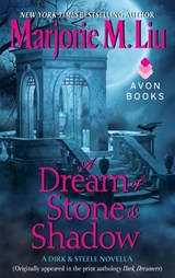 A Dream of Stone & Shadow - Marjorie Liu - 9780062193919