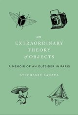 An Extraordinary Theory of Objects - Stephanie LaCava - 9780062223661
