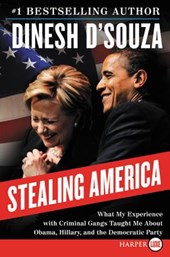 Stealing America LP
