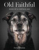Old Faithful - THORNE,  Pete - 9780062413451