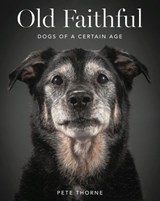 Old Faithful - Pete Thorne - 9780062413468
