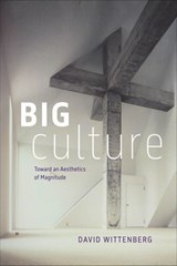 Big Culture - David Wittenberg - 9780226842912