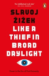 Like A Thief In Broad Daylight - Slavoj Žižek - 9780241364307
