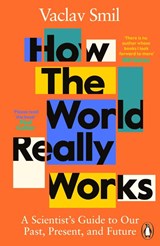 How the World Really Works - SMIL,  Vaclav - 9780241989678