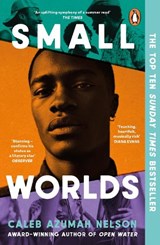 Small Worlds - Caleb Azumah Nelson - 9780241996041