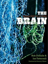 The Brain - Rob DeSalle ; Ian Tattersall - 9780300183566
