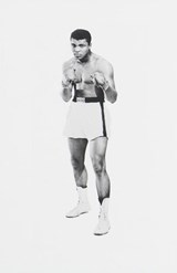 More Than a Champion - Jan Philipp Reemtsma - 9780307481009