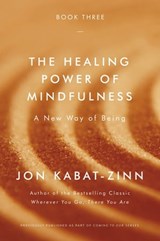 The Healing Power of Mindfulness - Jon Kabat-Zinn, PhD - 9780316522052