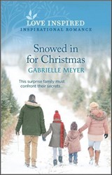 Snowed in for Christmas - Gabrielle Meyer - 9780369715302