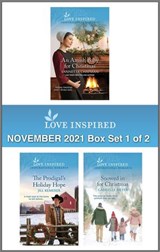 Love Inspired November 2021 - Box Set 1 of 2 - Vannetta Chapman ; Jill Kemerer ; Gabrielle Meyer - 9780369715821
