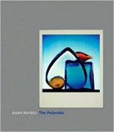 Andre Kertesz - Andre Kertesz - 9780393065640