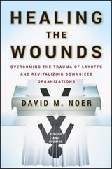 Healing the Wounds - David M. Noer - 9780470528594