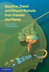 Gasoline, Diesel, and Ethanol Biofuels from Grasses and Plants