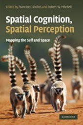 Spatial Cognition, Spatial Perception
